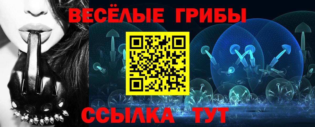 Псилоцибиновые грибы прущие грибы Елец
