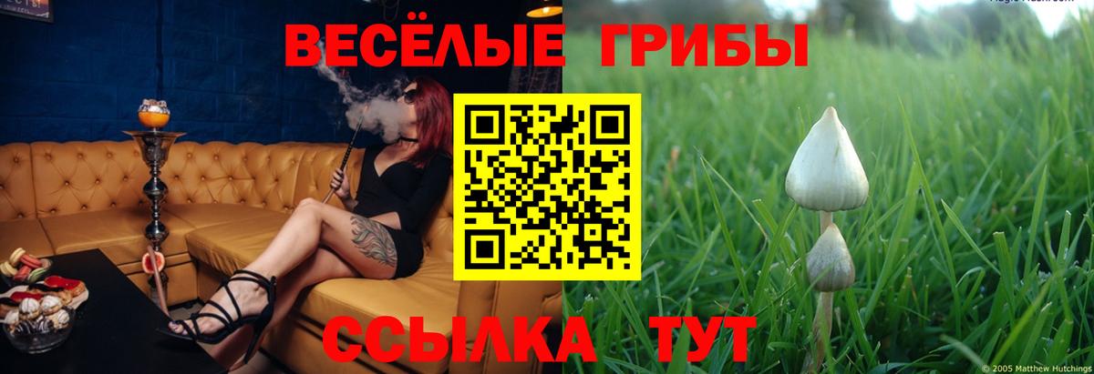 Елец  Галлюциногенные грибы Cubensis  Вход с VPN 
